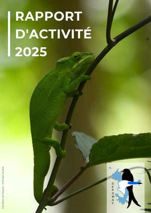 Rapport d'activités 2025