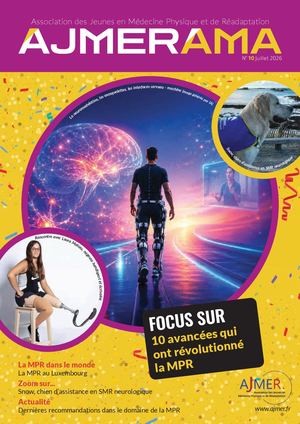 Ajmerama N°10 Ppp