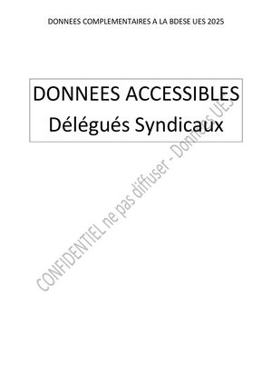 A 2025 - Données Complémentaires à La BDES UES