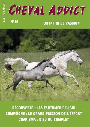 Cheval Addict 16