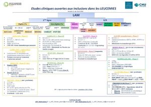 CHUTOULOUSE/OCR_Leucemie_07/2026