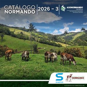 Catalogo Final 2026 3
