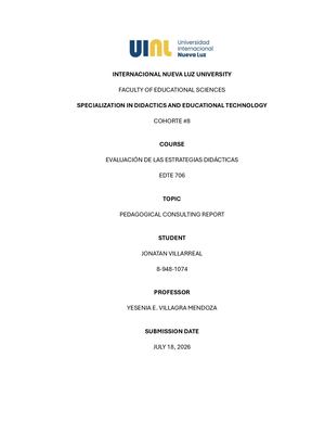 Pedagogical Consulting Report