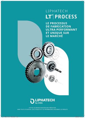 LT PROCESS - FR_2026