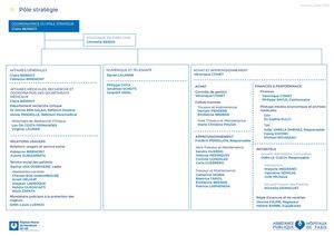Organigramme Pôle Stratégie Hmh Juillet 2026