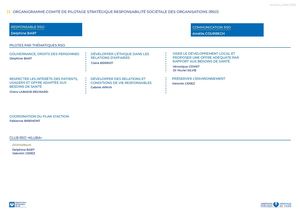 Organigramme Copil Rso Hmh Juillet 2026