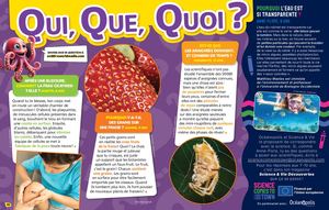 Q&R Science et vie 332 - SCTT