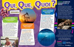 Q&R Science et vie 333 - SCTT