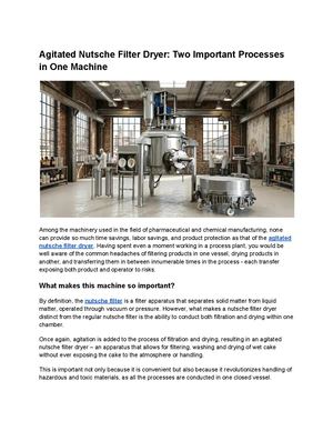Agitated Nutsche Filter Dryer Two Important Processes In One Machine