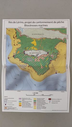 Zmp Shonorat Cartographie Projet De Cantonnement Pêche Saint Honorat