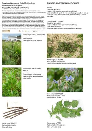 32 Plantas Silvestres Alimentares