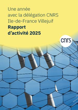 Rapport Activité 2025 Délégation CNRS Ile-de-France Villejuif