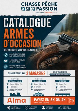 Armes Occasion