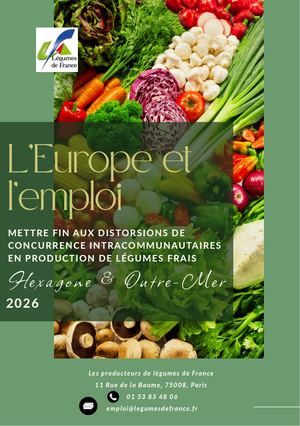 2026 - Guide Distorsion Complet