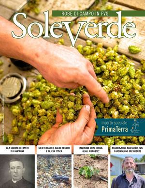 04 SoleVerde Luglio-Agosto 2026