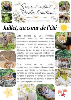 "Saisir l'instant, révéler l'émotion" - Juillet au coeur de l'été"