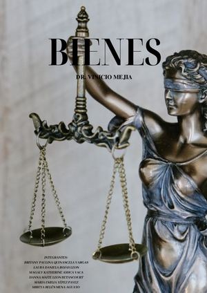 REVISTA DE BIENES- TERCER SEMESTRE