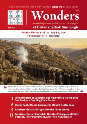 Wonders 201 ∙ Pinchas 5786