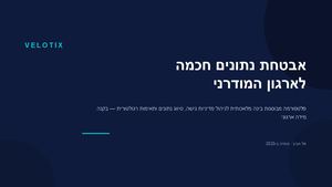 Velotix It Solution Hebrew