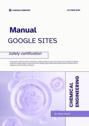 Manual Google Sites