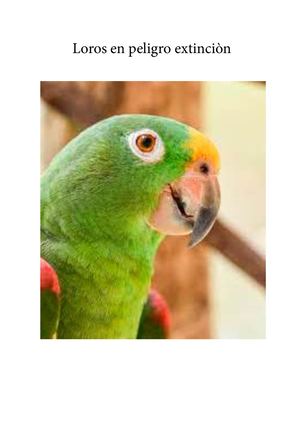 Loros En Peligro Extinciòn