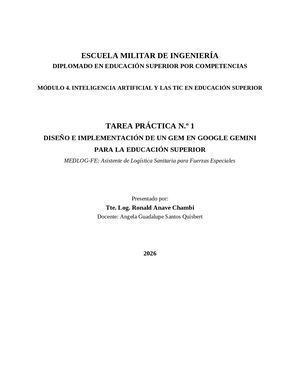 Tarea Práctica N.º 1 - GEM MEDLOG-FE - Ronald Anave Chambi