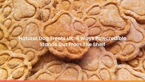 Natural Dog Treats UK: 4 Ways Pawcredible Stands Out From The Shelf