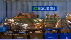 Eco-Friendly Junk Removal: Woodside, CA Expert on Keeping Furniture Out of Landfills