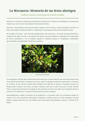 La Mocanera: Memoria de un fruto aborigen.