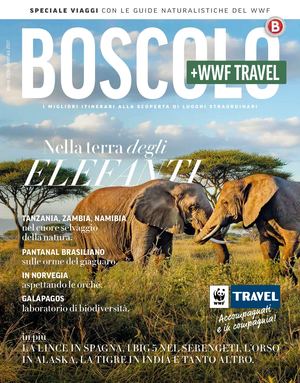 volantino-boscolo-cat-wwf-2026-2026-01-01-2027-12-31