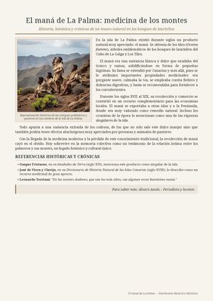 El maná de La Palma: medicina de los montes.