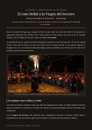 Gato Belial - El Socorro.