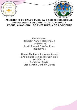 Documento A4 Informe Resumen De Tesis De Grado Sencillo Orgánico Rosa Y Blanco