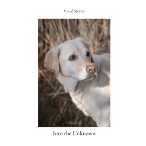Visual Stories — Art 003: Into The Unknown