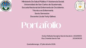 Presentación Portafolio Community Manager Minimalista Rosa Y Verde