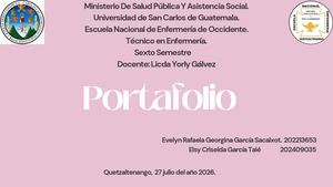 Presentación Portafolio Community Manager Minimalista Rosa Y Verde