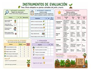 Instrumentos De Evaluación Utilizados