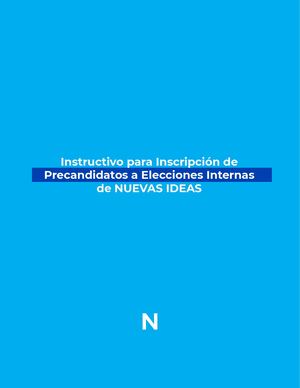Instructivo De Elecciones Internas Ni 2026