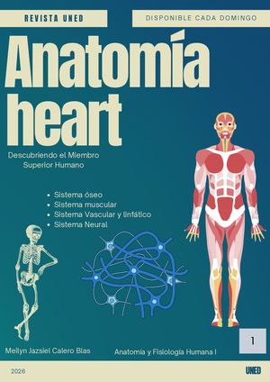 Revista Anatomía heart