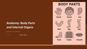 Anatomy Body Parts Internal Organs
