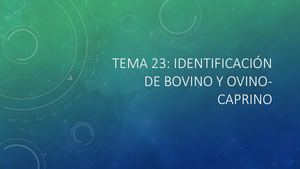 Identificación Bovino Y Ovino Caprino