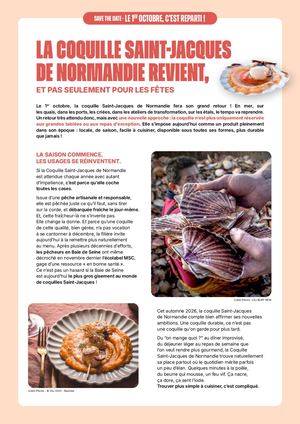 Stdcoquillestjacquesde Normandie