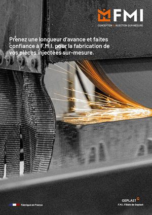 Fmi Conception Et Injection Sur Mesure
