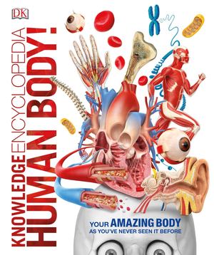 Human Body Compress (4)