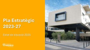 Pla D'acció 2025 Pla Estrategic