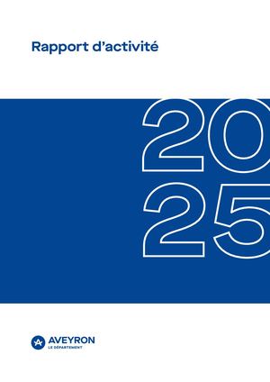 Rapport Activite 2025