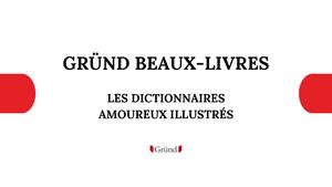 Dictionnaires Amoureux Illustré
