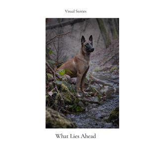 Visual Stories — Art 004 What Lies Ahead