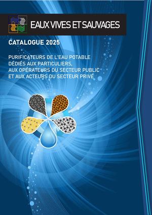 Flipbook Blue Eves2025
