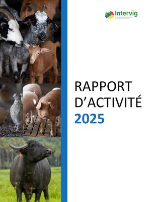 Rapport D'activité 2025 V0 Pptx 1